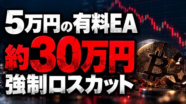 有料EAを買う前に聞いておくべきこと の動画のサムネイル